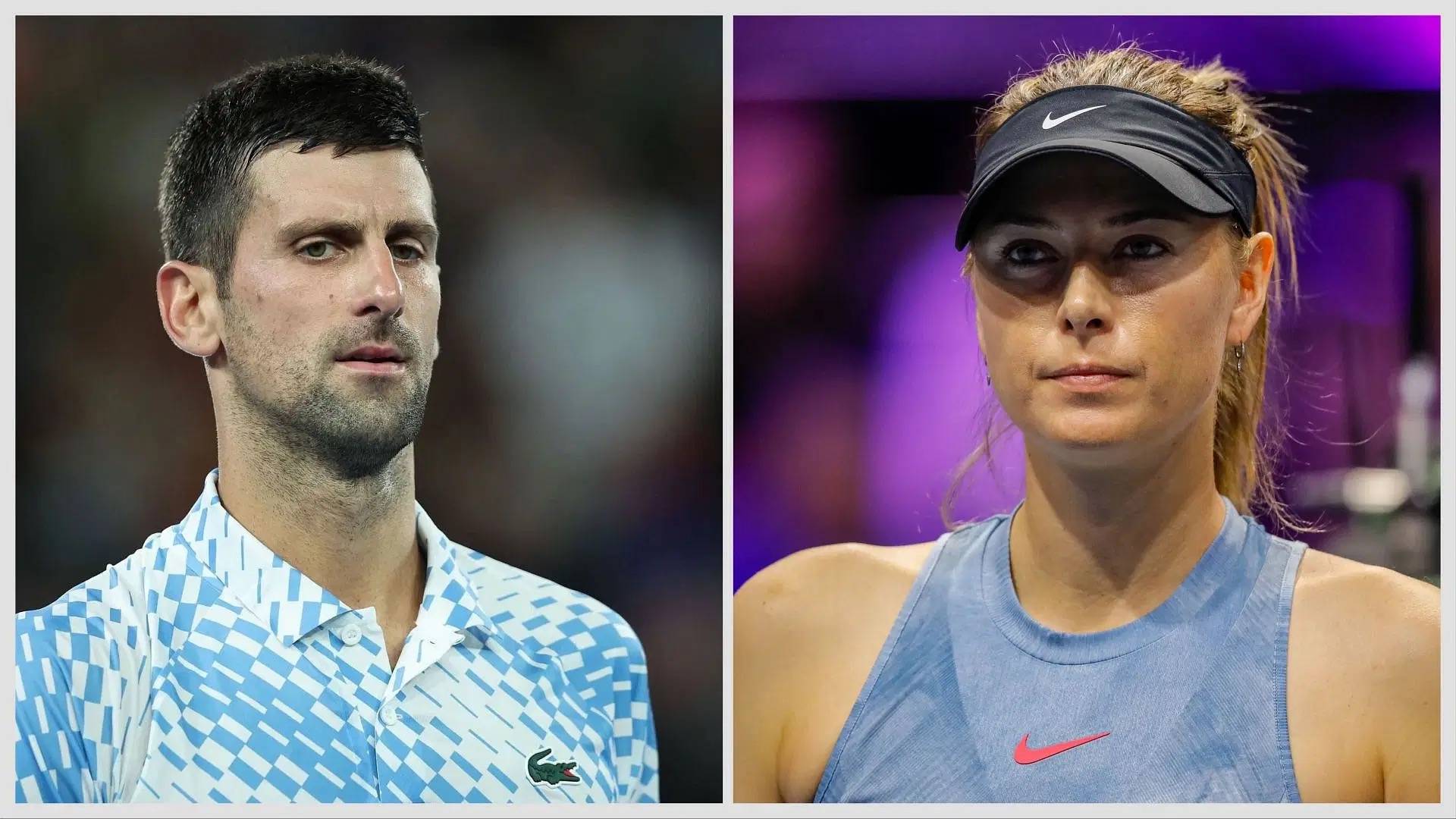 德约科维奇透露将和莎拉波娃合作！排名掉出前五被英国一哥超越